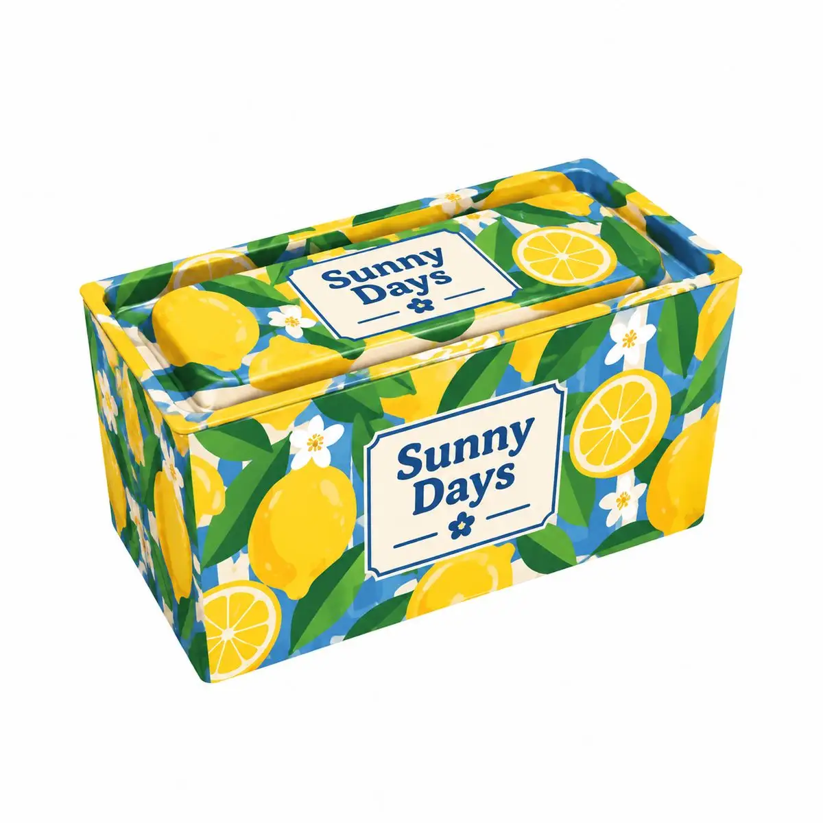 Custom Tin Packaging Case custom tin packaging design