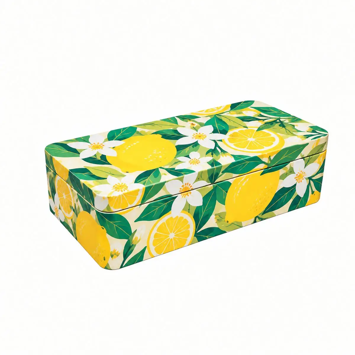 Custom Tin Packaging Case custom tin packaging design