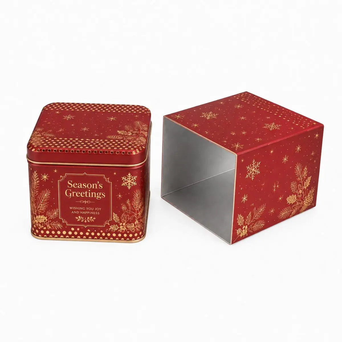 Custom Tin Packaging Case custom tin packaging design