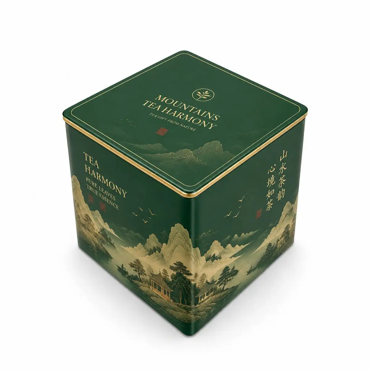 Custom Tin Packaging Case custom tin packaging design