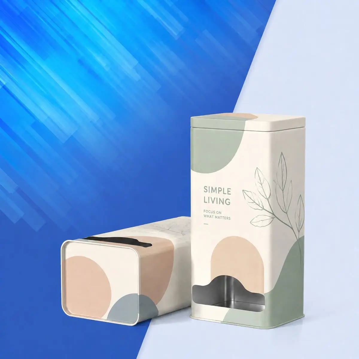 TIN-DGWP-00022 铁罐定制案例 custom tin packaging design