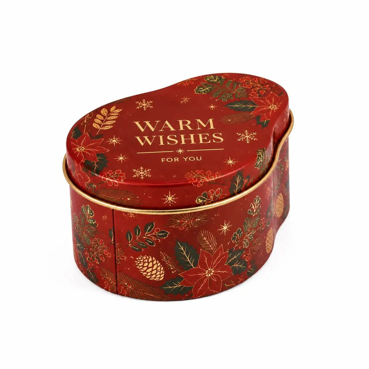 Custom Tin Packaging Case custom tin packaging design